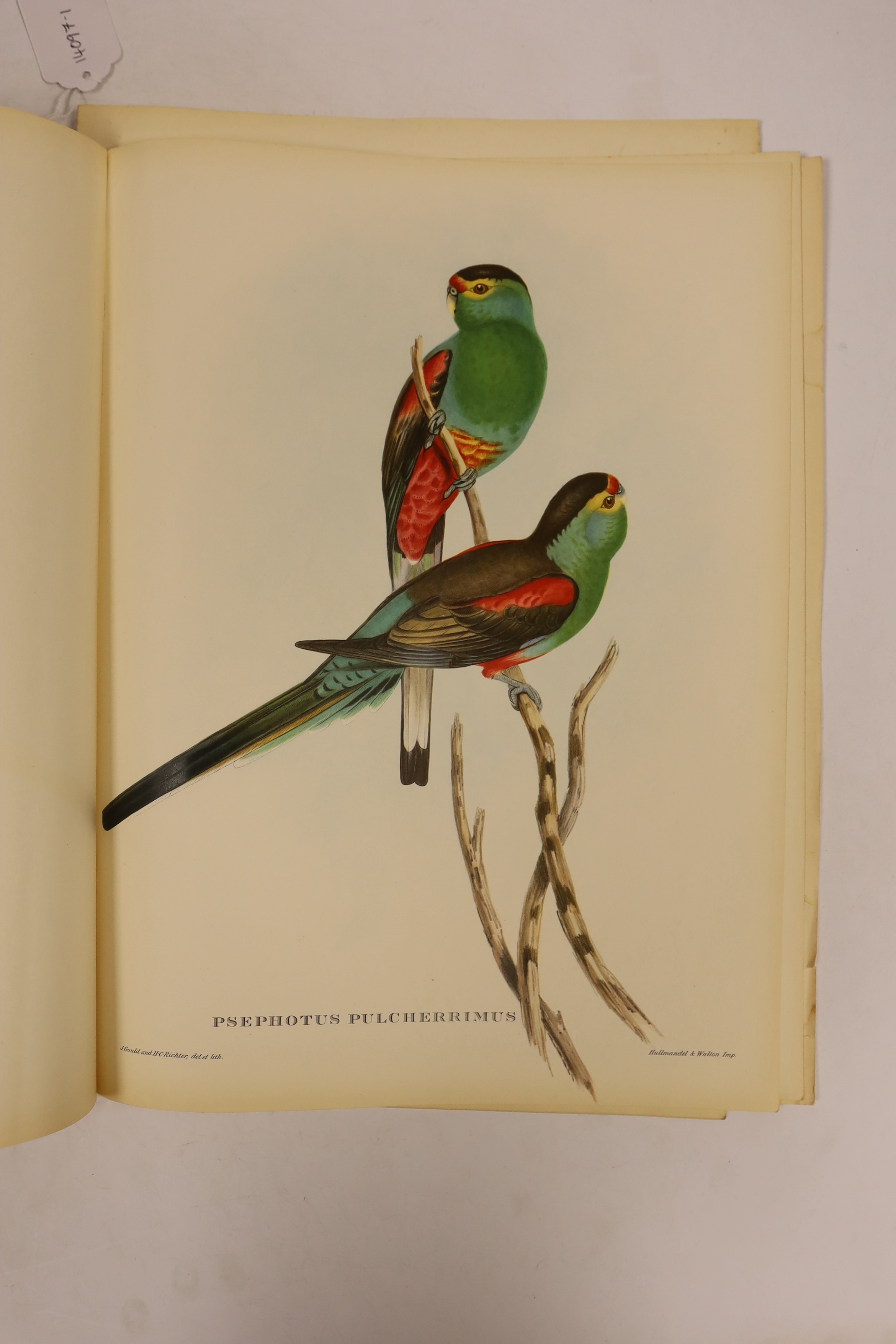 After John Gould (1804-1881) & H C Richter, 'Uccelli Tropicali', a folio of ten colour lithographs, birds, 40 x 30cm